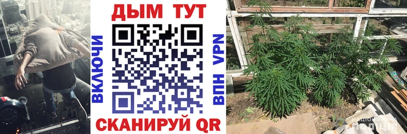 Конопля MAZAR  где продают наркотики  ОМГ ОМГ рабочий сайт  Сургут 